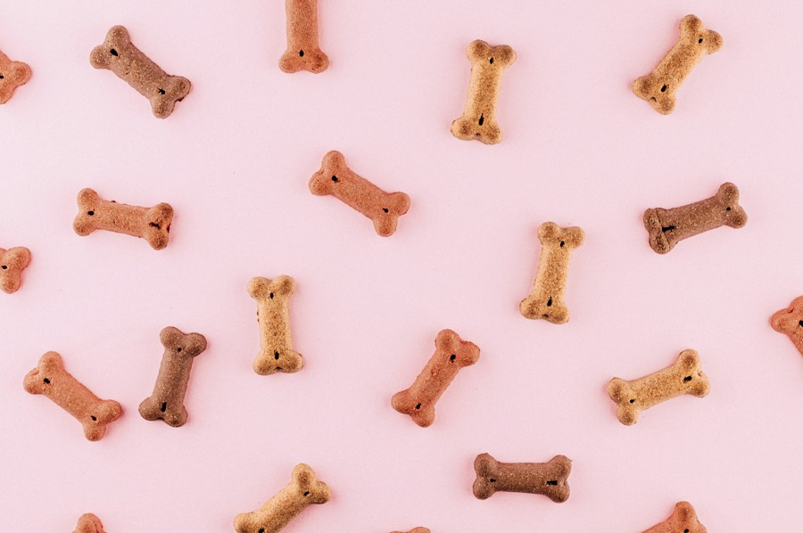 Chicken Jerky Dog Treats (100g)