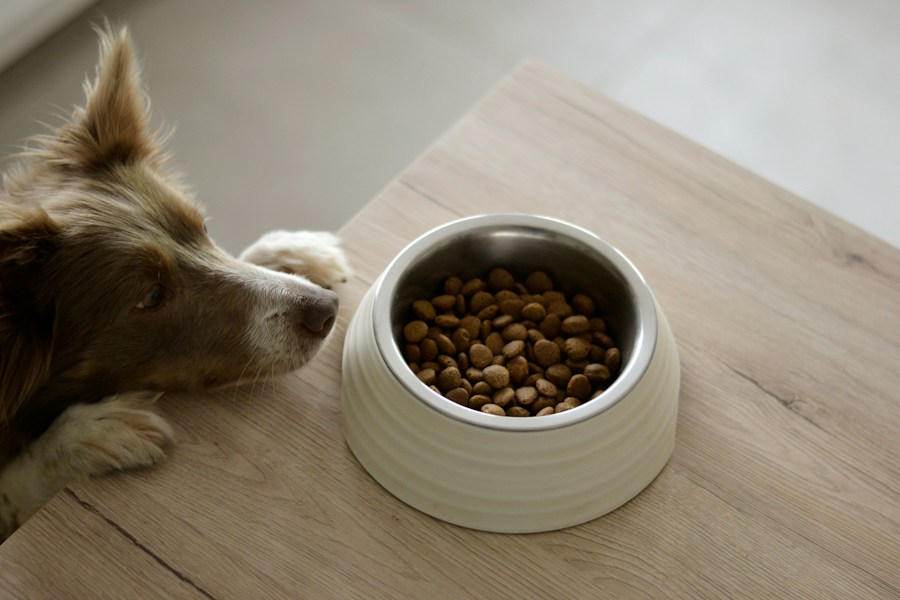 Adult Dry Dog Food — Chicken & Rice (2kg)