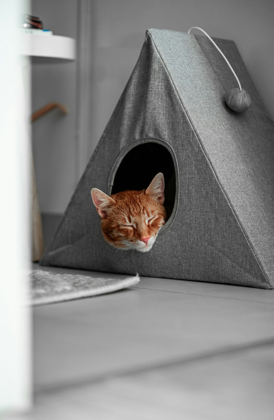 Felt Cat Cave Den