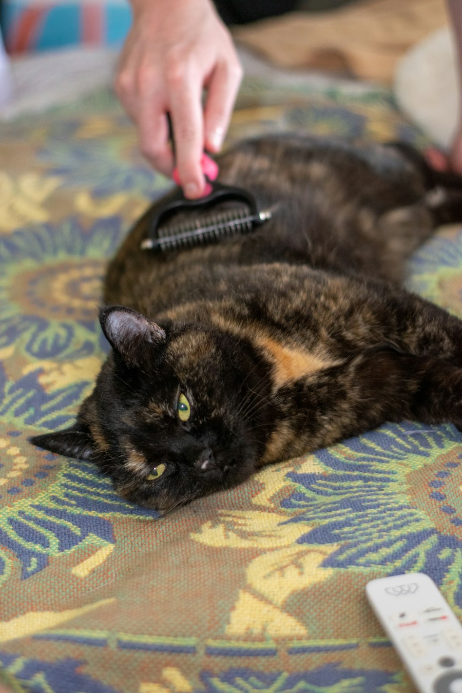 Pet Grooming Brush
