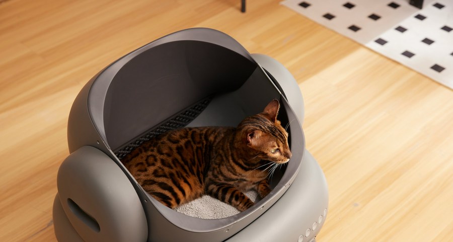 Automatic Self-Cleaning Cat Litter Box